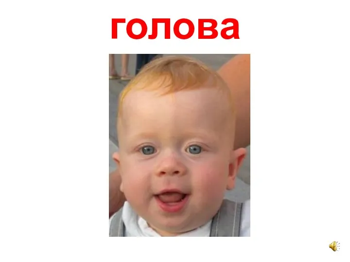 голова