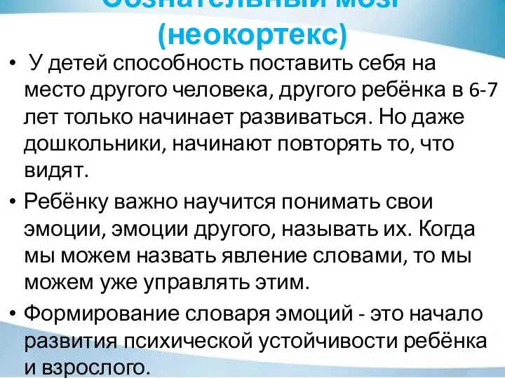 Сознательный мозг (неокортекс) У детей способность поставить себя на место другого