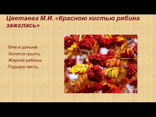 Цветаева М.И. «Красною кистью рябина зажглась» Мне и доныне Хочется грызть Жаркой рябины Горькую кисть.