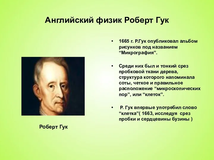 Английский физик Роберт Гук 1665 г. Р.Гук опубликовал альбом рисунков под