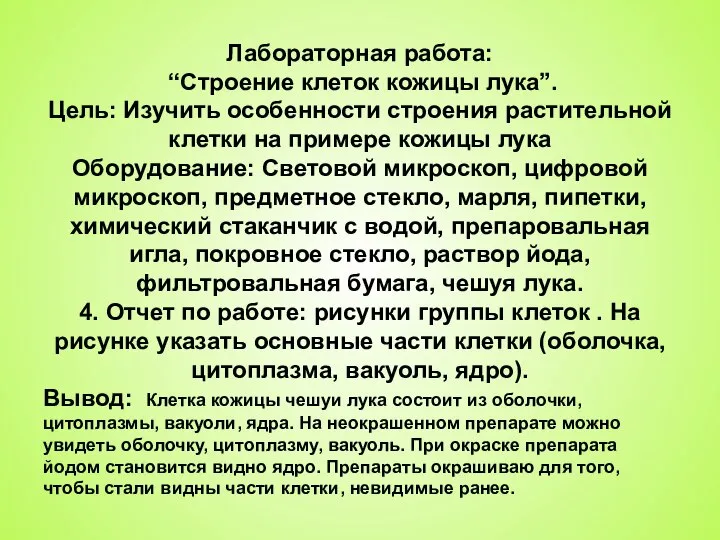 Лабораторная работа: “Строение клеток кожицы лука”. Цель: Изучить особенности строения растительной