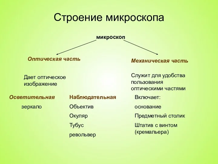 Строение микроскопа микроскоп Оптическая часть Дает оптическое изображение Механическая часть Служит