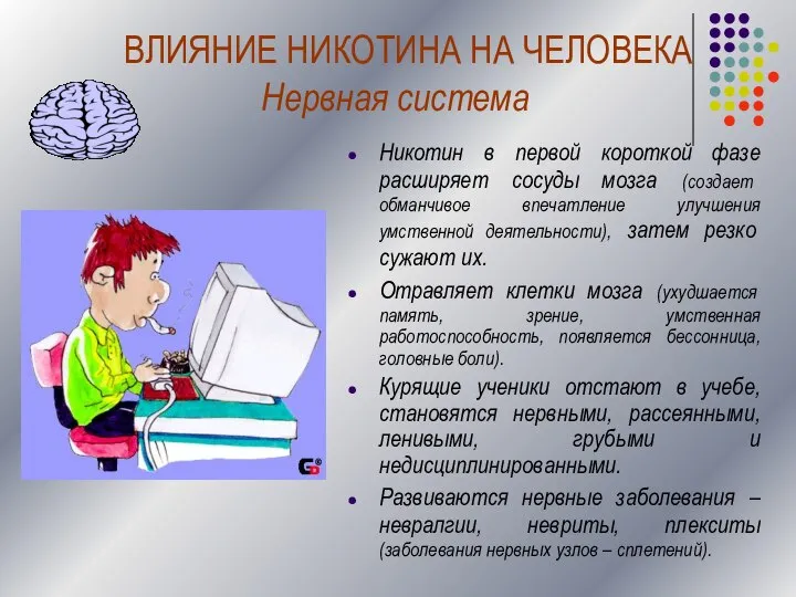 Нервная система Никотин в первой короткой фазе расширяет сосуды мозга (создает