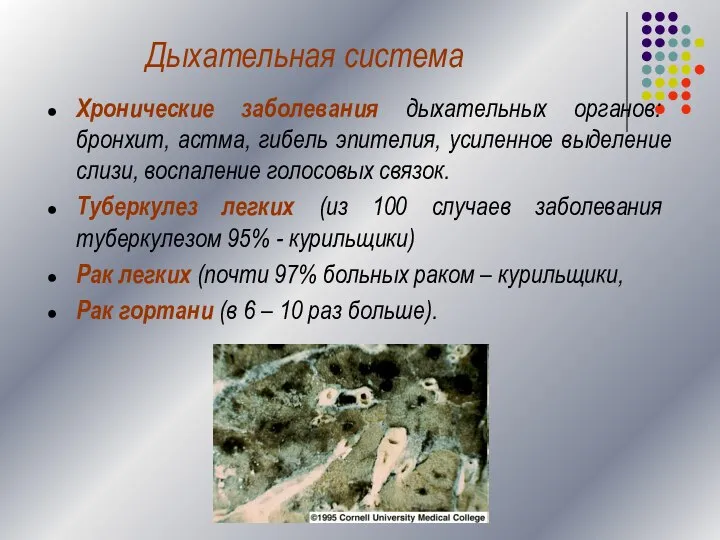 Дыхательная система Хронические заболевания дыхательных органов: бронхит, астма, гибель эпителия, усиленное