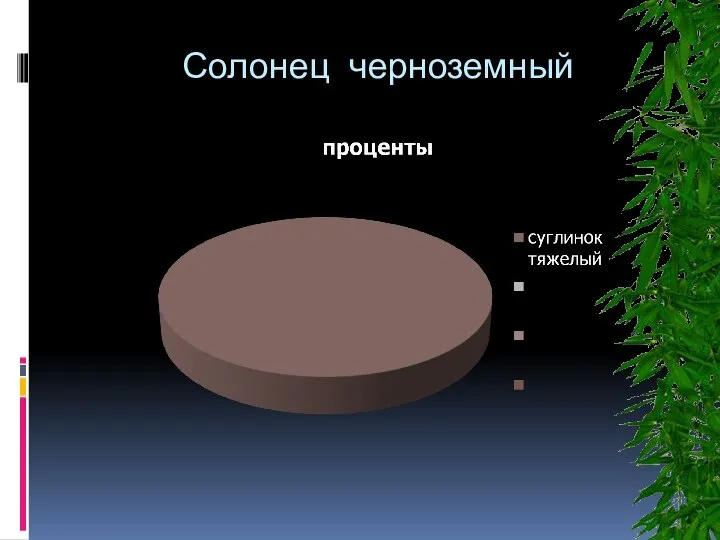 Солонец черноземный