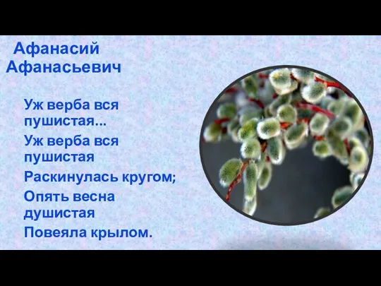 Уж верба вся пушистая... Уж верба вся пушистая Раскинулась кругом; Опять