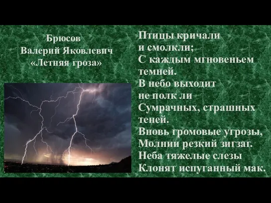 Птицы кричали и смолкли; С каждым мгновеньем темней. В небо выходит