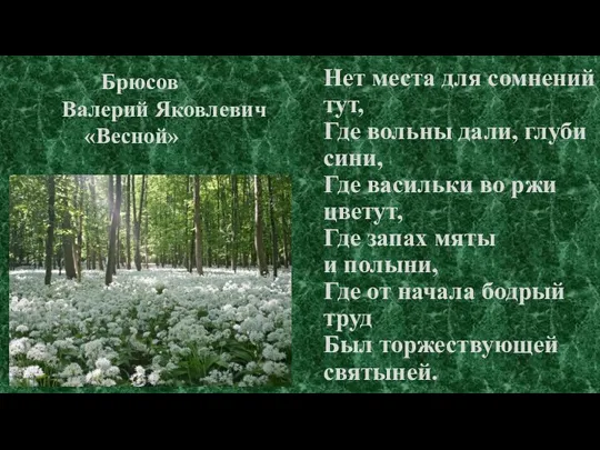 Нет места для сомнений тут, Где вольны дали, глуби сини, Где