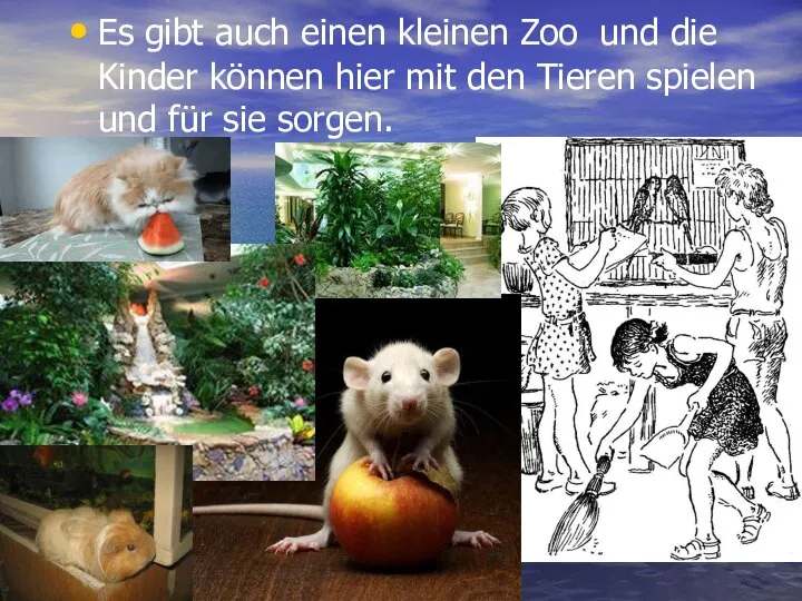 Es gibt auch einen kleinen Zoo und die Kinder können hier