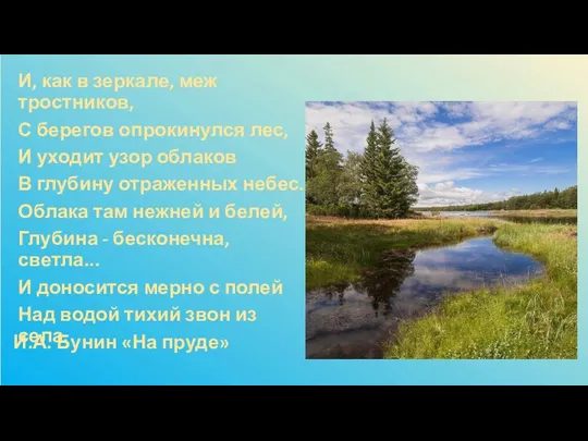 И.А. Бунин «На пруде» И, как в зеркале, меж тростников, С