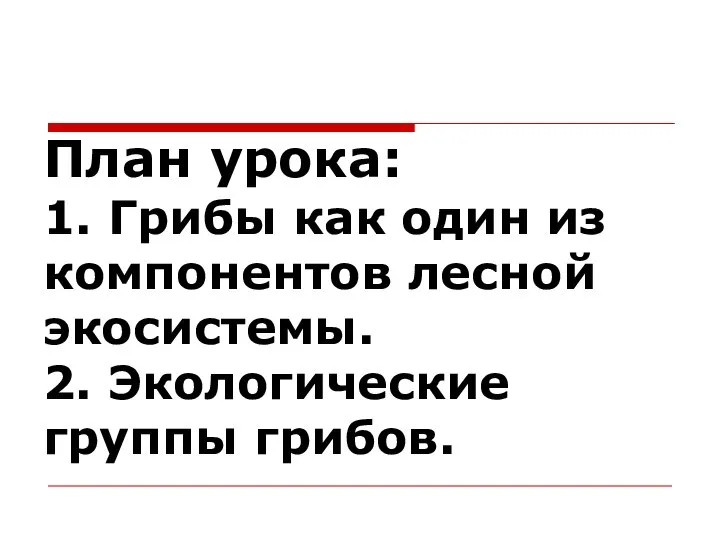 План урока: 1. Грибы как один из компонентов лесной экосистемы. 2. Экологические группы грибов.