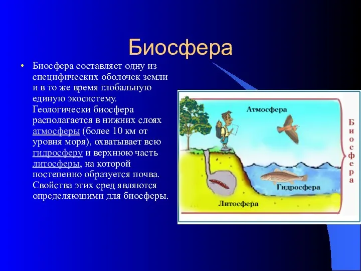 Биосфера Биосфера составляет одну из специфических оболочек земли и в то