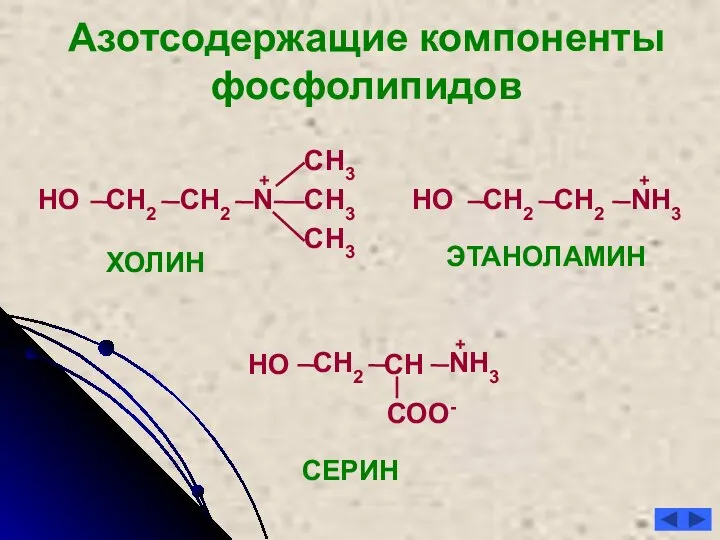 СН2 СН3 N НО Азотсодержащие компоненты фосфолипидов ХОЛИН ЭТАНОЛАМИН СН2 СН3