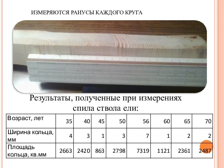 Результаты, полученные при измерениях спила ствола ели: ИЗМЕРЯЮТСЯ РАИУСЫ КАЖДОГО КРУГА