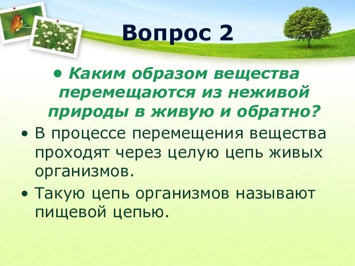 Вопрос 2 Каким образом вещества перемещаются из неживой природы в живую