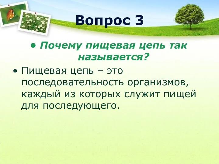 Вопрос 3 Почему пищевая цепь так называется? Пищевая цепь – это