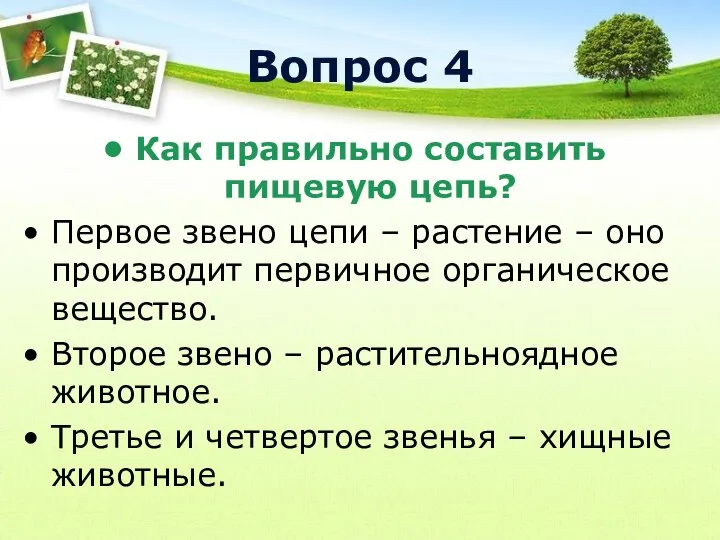 Вопрос 4 Как правильно составить пищевую цепь? Первое звено цепи –