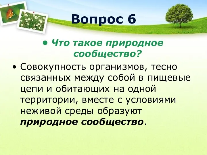 Вопрос 6 Что такое природное сообщество? Совокупность организмов, тесно связанных между