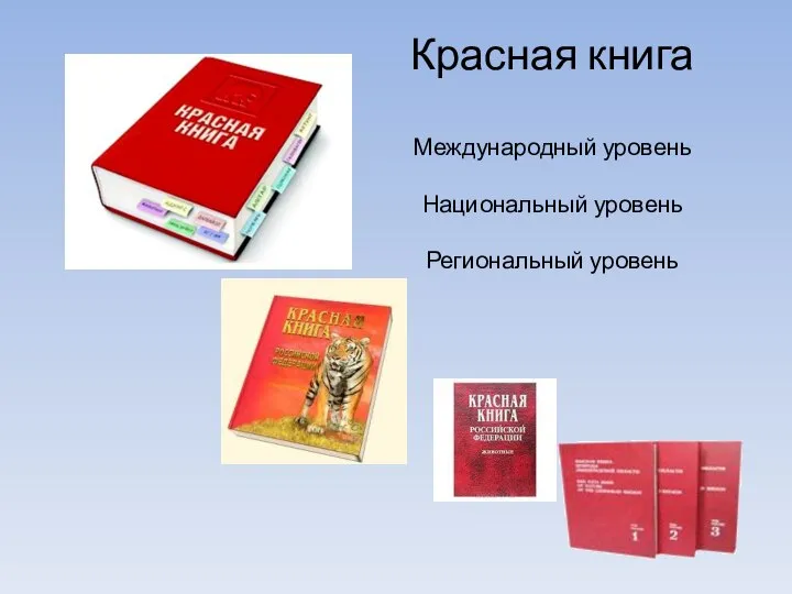 Красная книга Международный уровень Национальный уровень Региональный уровень