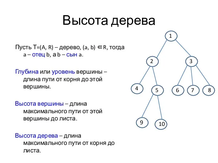 Высота дерева Пусть Т=(A, R) – дерево, (a, b) ∈R, тогда