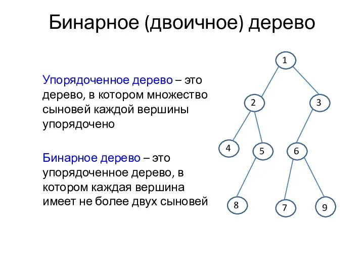 Бинарное (двоичное) дерево Упорядоченное дерево – это дерево, в котором множество