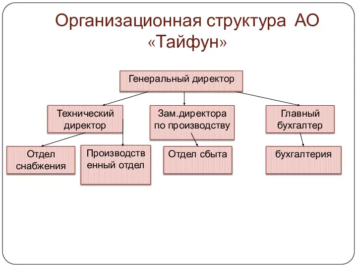 Организационная структура АО «Тайфун»