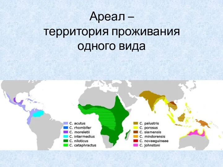 Ареал – территория проживания одного вида