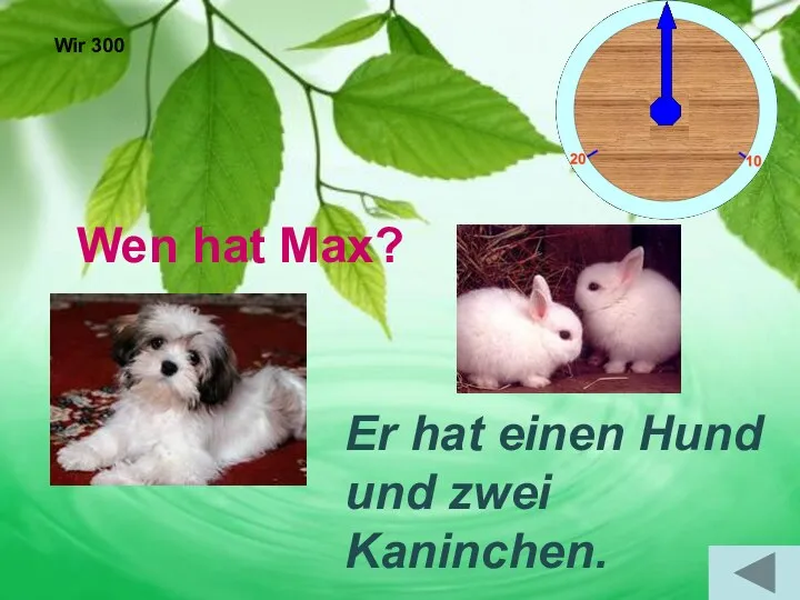 Wir 300 Wen hat Max? Er hat einen Hund und zwei Kaninchen.