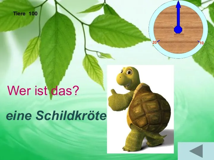 Tiere 100 Wer ist das? eine Schildkröte