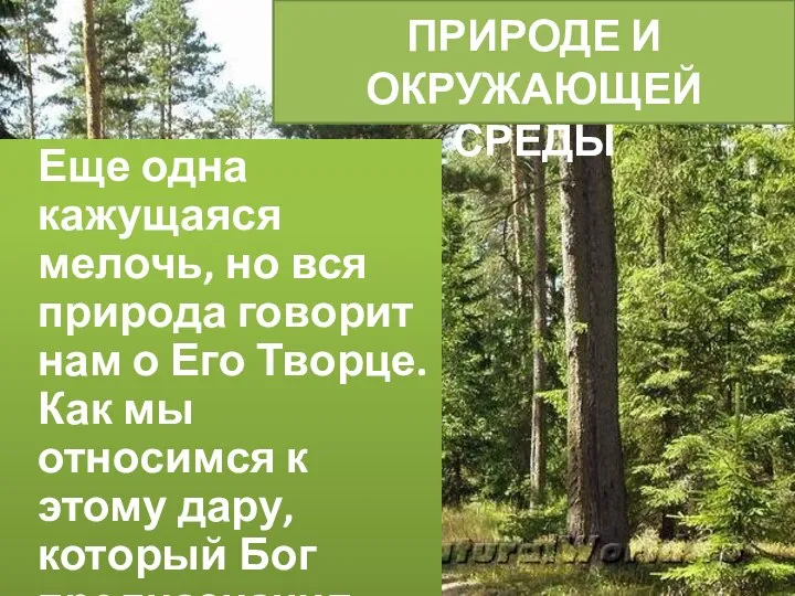 ОТНОШЕНИЕ К ПРИРОДЕ И ОКРУЖАЮЩЕЙ СРЕДЫ Еще одна кажущаяся мелочь, но