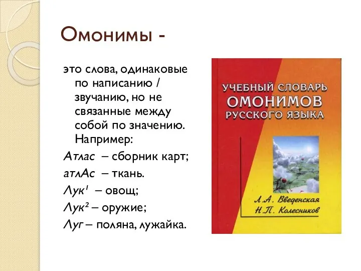 Омонимы - это слова, одинаковые по написанию / звучанию, но не