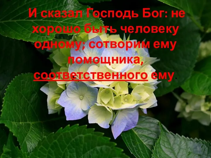 И сказал Господь Бог: не хорошо быть человеку одному; сотворим ему помощника, соответственного ему.