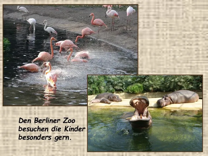 Den Berliner Zoo besuchen die Kinder besonders gern.