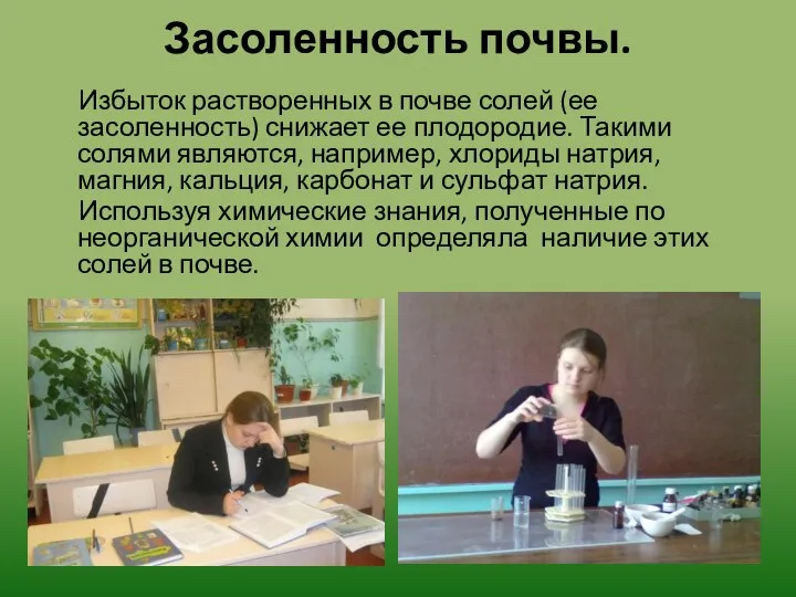 Засоленность почвы. Избыток растворенных в почве солей (ее засоленность) снижает ее