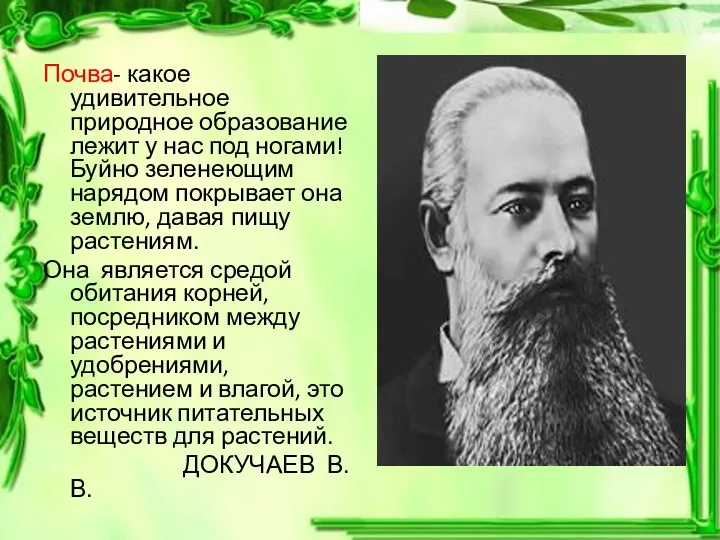 Почва- какое удивительное природное образование лежит у нас под ногами! Буйно