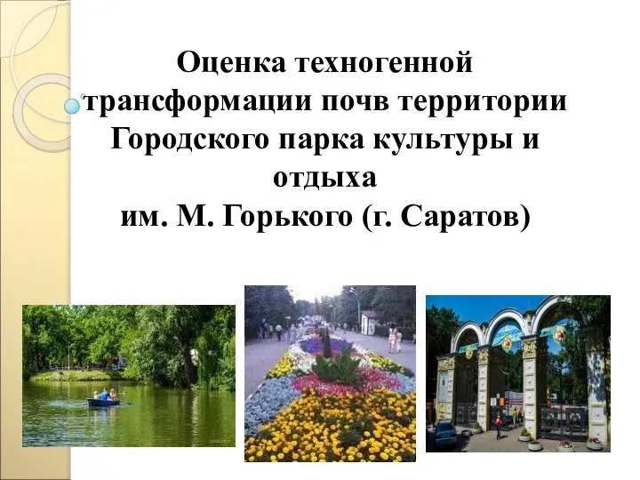 Оценка техногенной трансформации почв территории Городского парка культуры и отдыха им. М. Горького (г. Саратов)