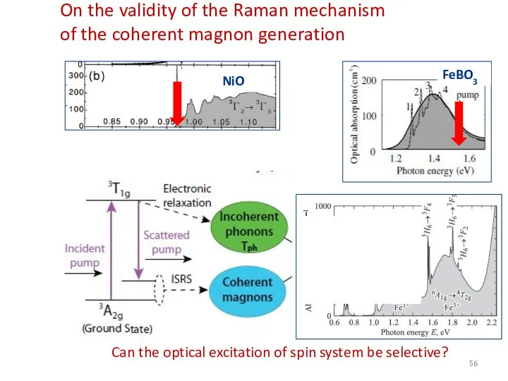 On the validity of the Raman mechanism of the coherent magnon