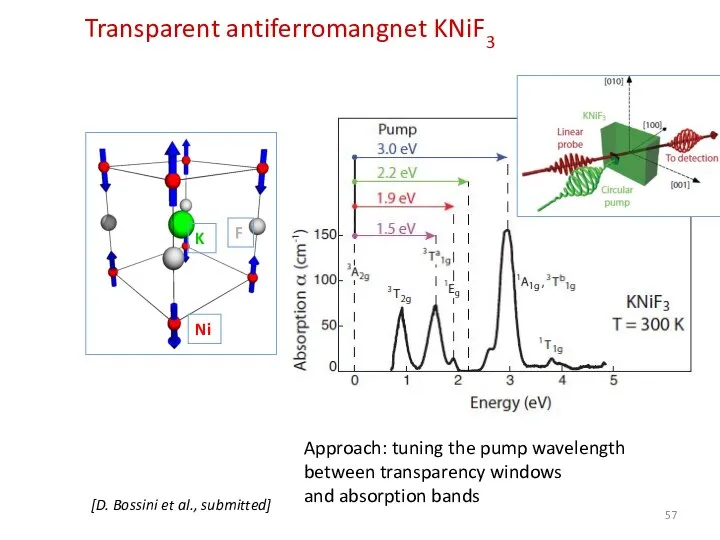 Transparent antiferromangnet KNiF3 [D. Bossini et al., submitted] Ni Approach: tuning