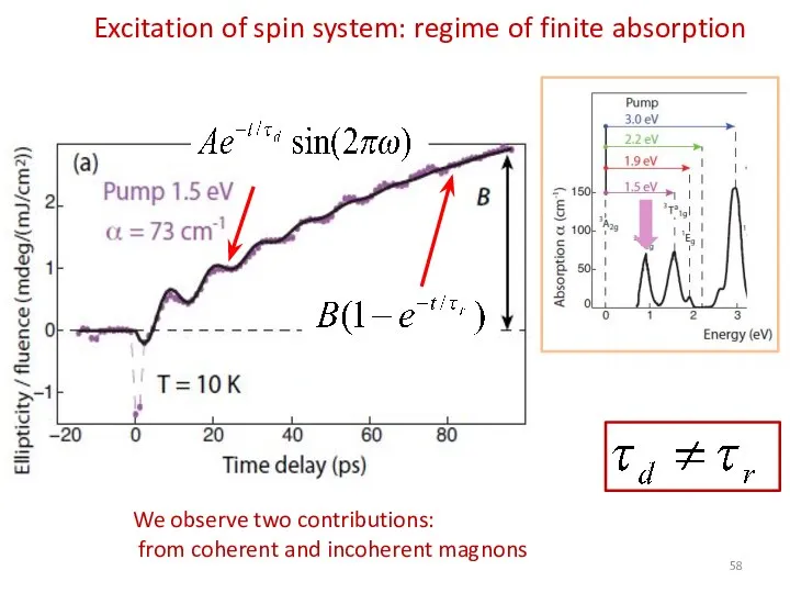 Excitation of spin system: regime of finite absorption [D. Bossini et