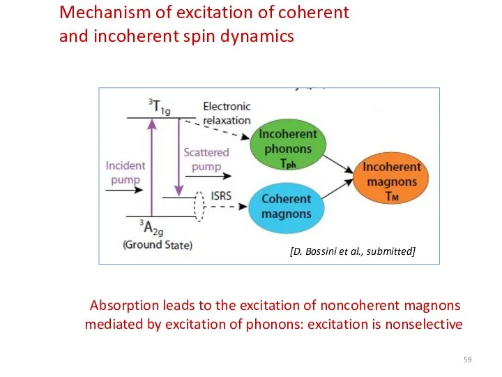 Mechanism of excitation of coherent and incoherent spin dynamics [D. Bossini