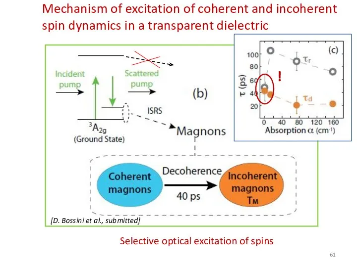 Mechanism of excitation of coherent and incoherent spin dynamics in a