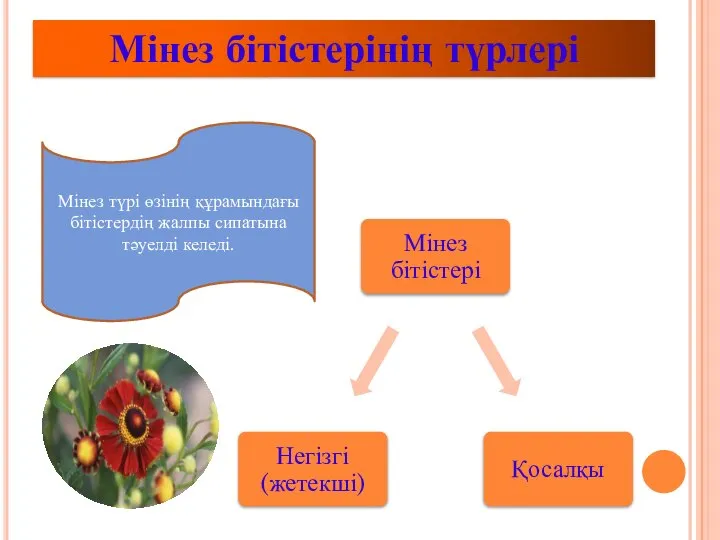 Мінез бітістерінің түрлері Мінез түрі өзінің құрамындағы бітістердің жалпы сипатына тәуелді келеді.