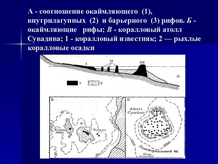 А - соотношение окаймляющего (1), внутрилагунных (2) и барьерного (3) рифов.