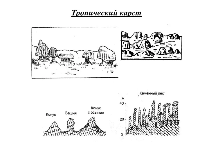 Тропический карст