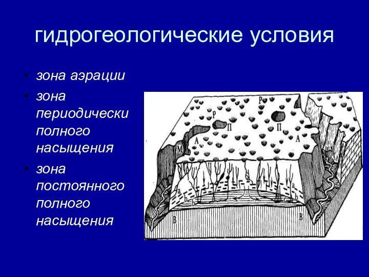 гидрогеологические условия зона аэрации зона периодически полного насыщения зона постоянного полного насыщения