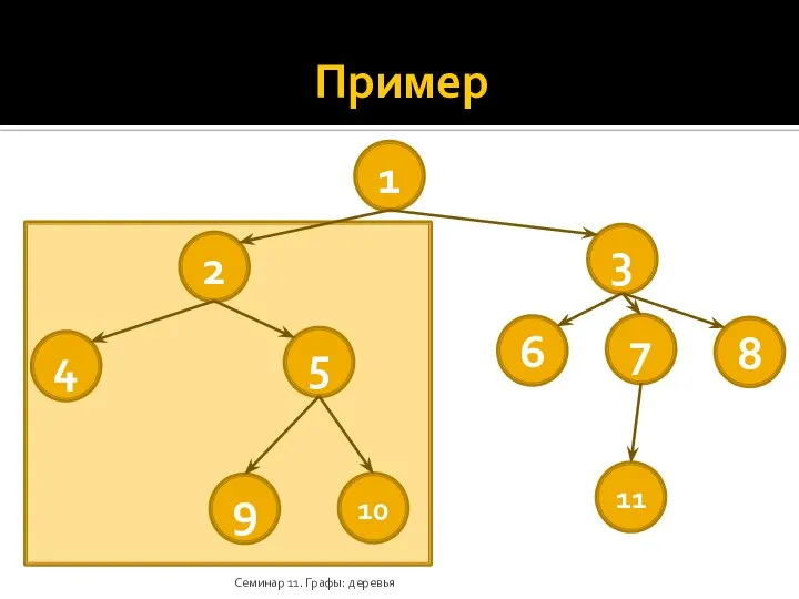 Пример Семинар 11. Графы: деревья 1 2 3 4 5 6 7 8 9 10 11