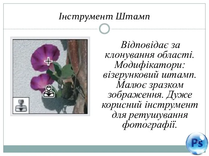 Інструмент Штамп Відповідає за клонування області. Модифікатори: візерунковий штамп. Малює зразком