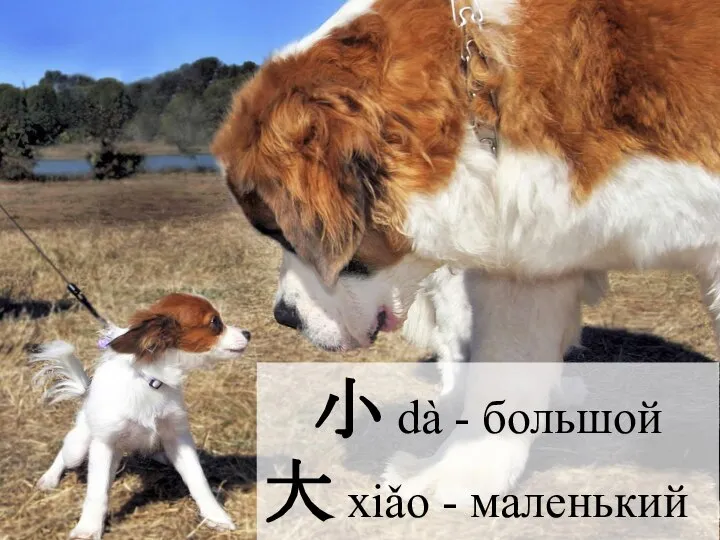 小 dà - большой 大 xiǎo - маленький