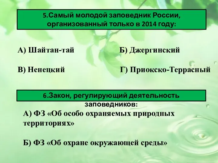 5.Самый молодой заповедник России, организованный только в 2014 году: А) Шайтан-тай