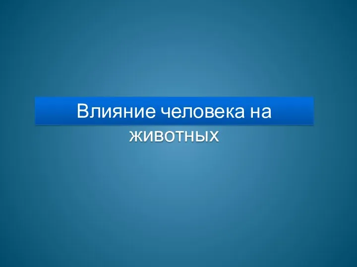 Влияние человека на животных